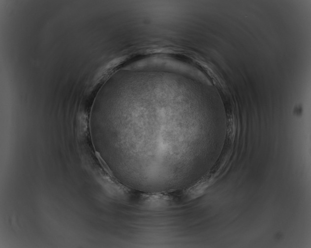 X0000090630621200707171449