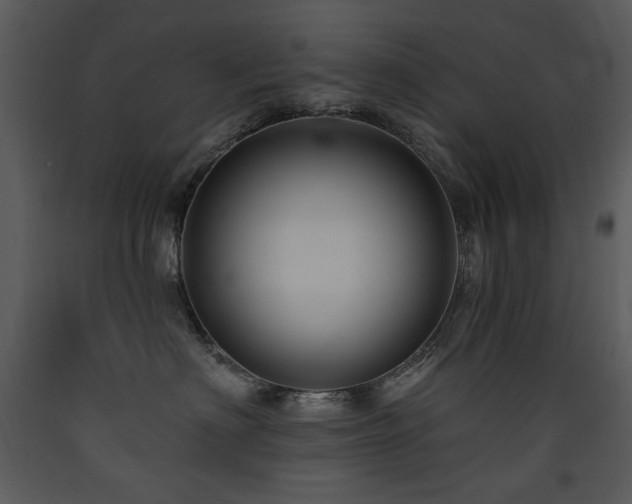 X0000090630622200707171449