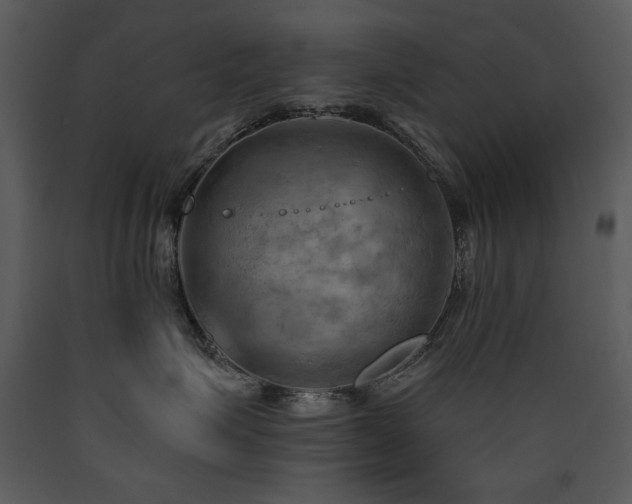 X0000090630623200707171449