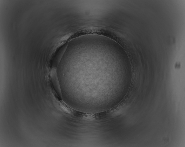 X0000090630624200707171449