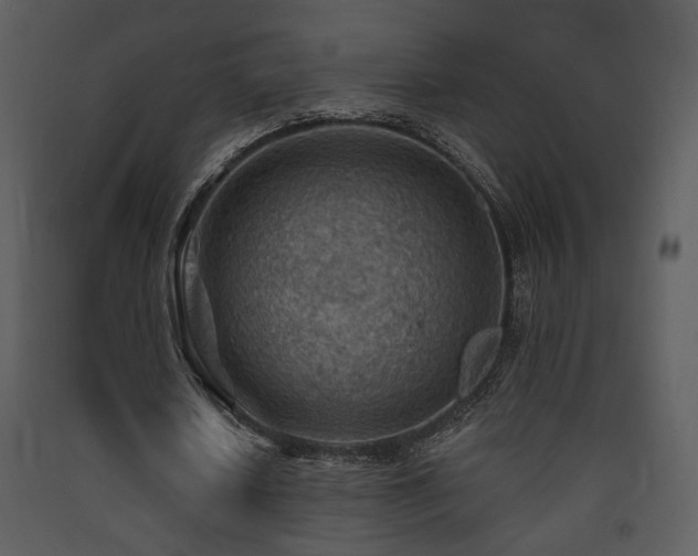 X0000090630626200707171448
