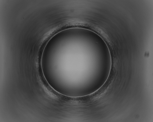 X0000090630629200707171448