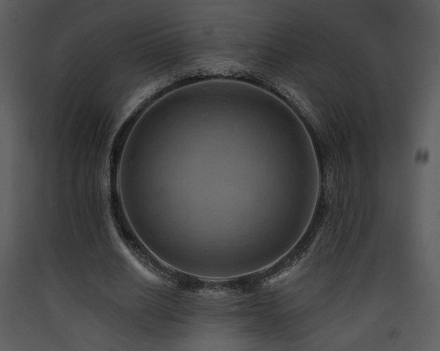 X0000090630630200707171448