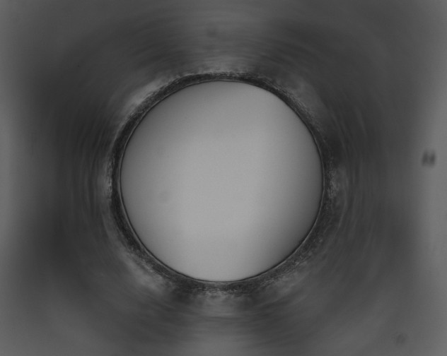 X0000090630632200707171448