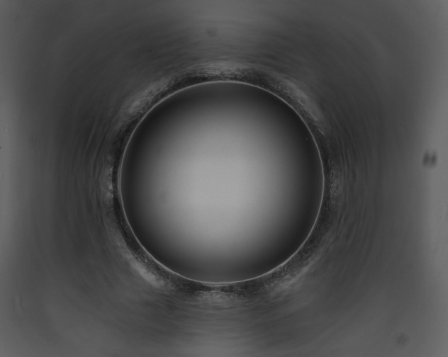 X0000090630633200707171448