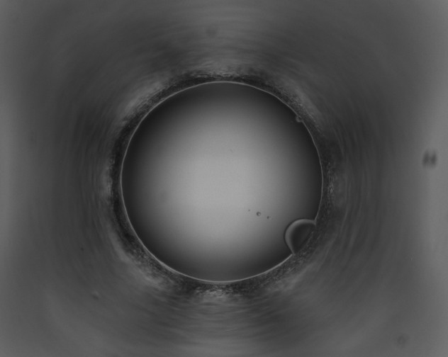 X0000090630635200707171448