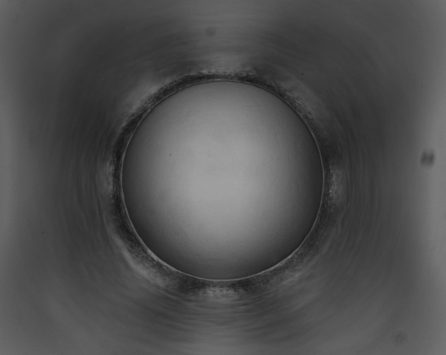 X0000090630636200707171448