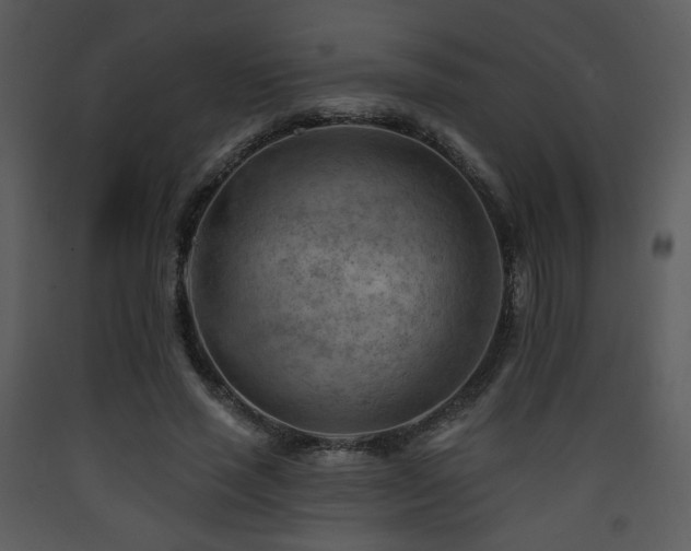 X0000090630637200707171448