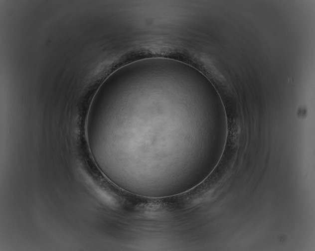 X0000090630639200707171448