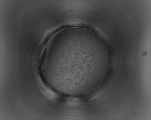 X0000090630640200707171448