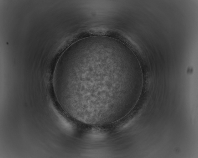 X0000090630641200707171448