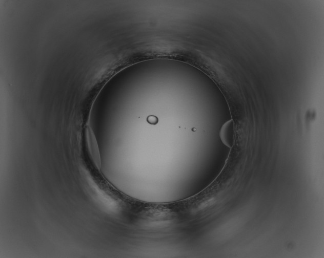 X0000090630642200707171448