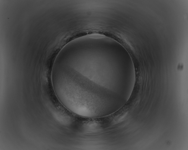X0000090630643200707171448