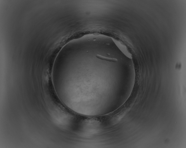 X0000090630644200707171448