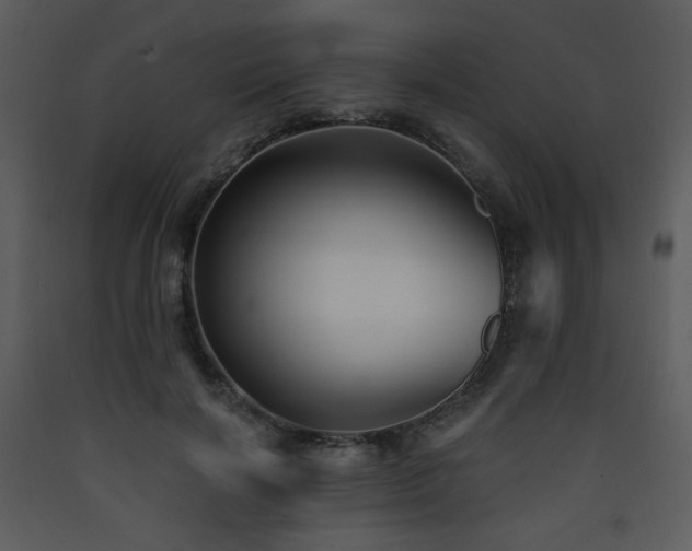 X0000090630646200707171448