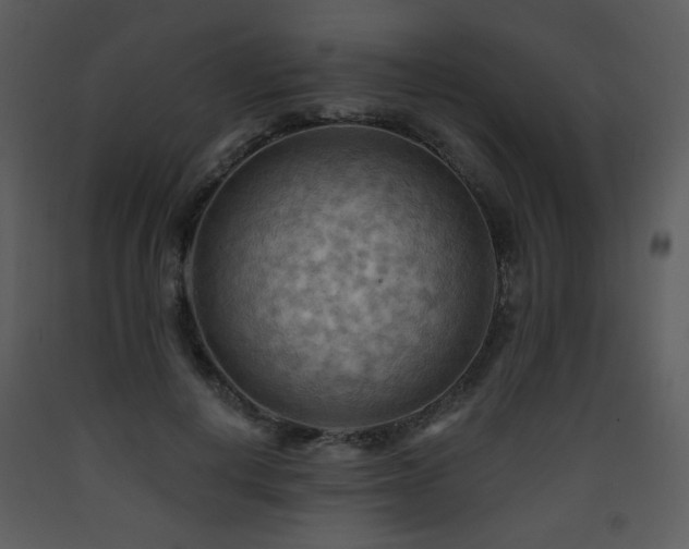 X0000090630648200707171448