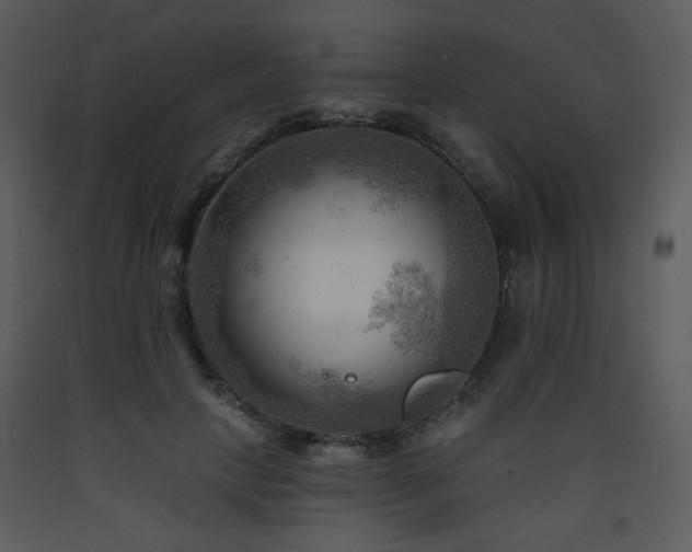 X0000090630649200707171448