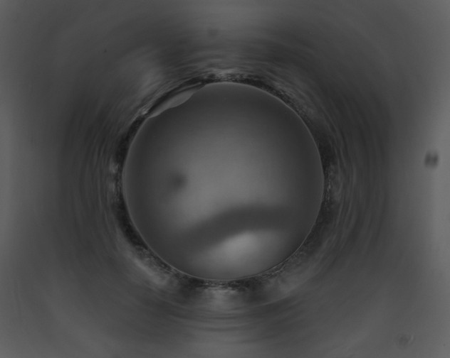 X0000090630650200707171448