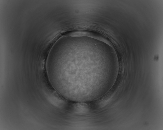 X0000090630652200707171448