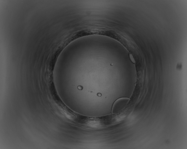 X0000090630653200707171449