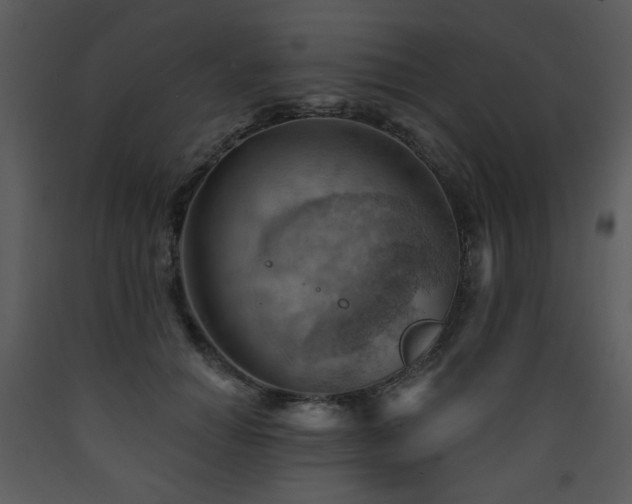 X0000090630654200707171449