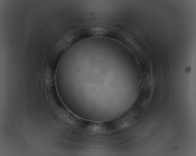 X0000090630655200707171449