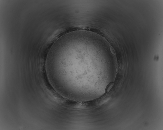 X0000090630656200707171449