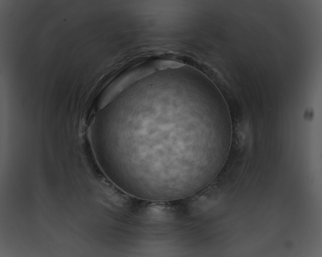 X0000090630657200707171449