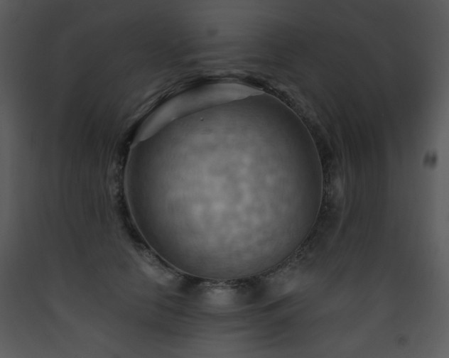 X0000090630658200707171449