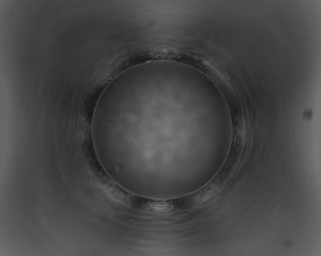 X0000090630659200707171449