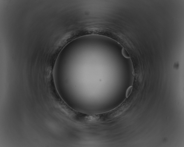 X0000090630660200707171449