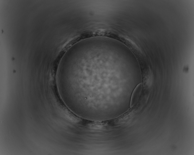 X0000090630661200707171449