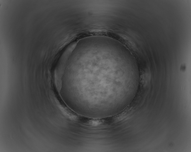 X0000090630662200707171449
