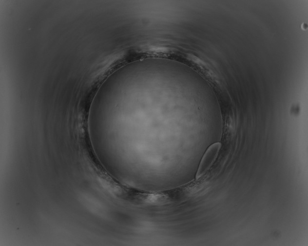X0000090630663200707171449