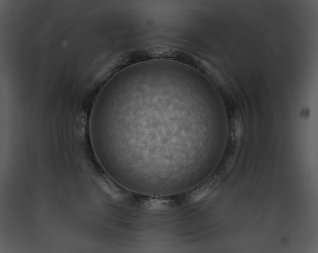 X0000090630664200707171449