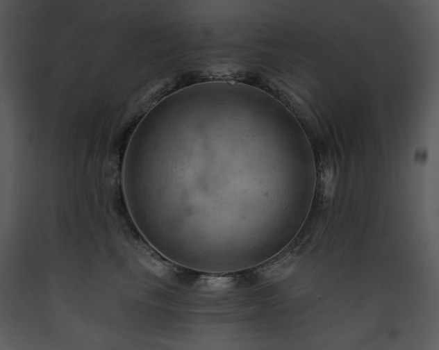 X0000090630665200707171449