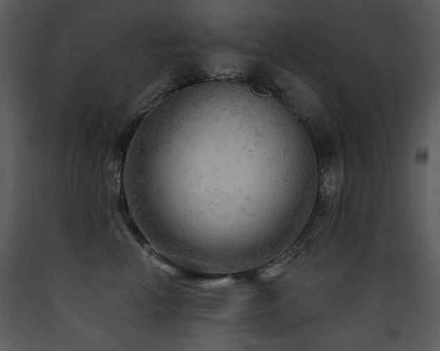 X0000090630666200707171449