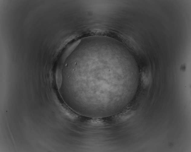 X0000090630668200707171449