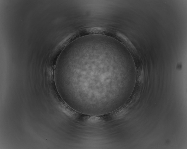 X0000090630669200707171449