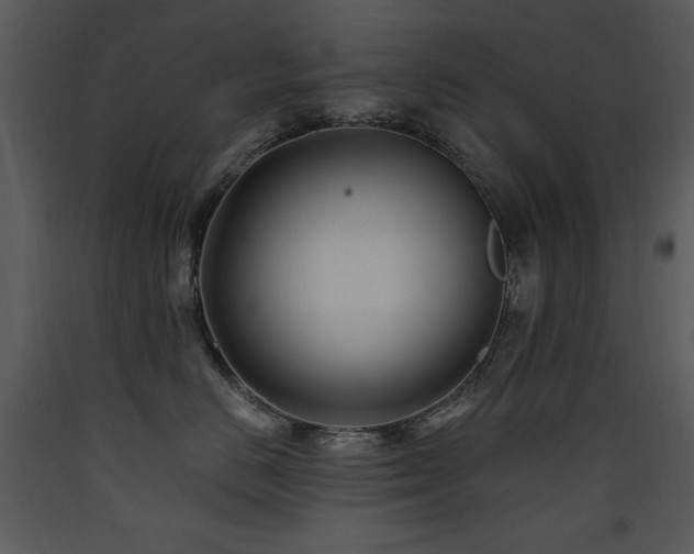 X0000090630670200707171449