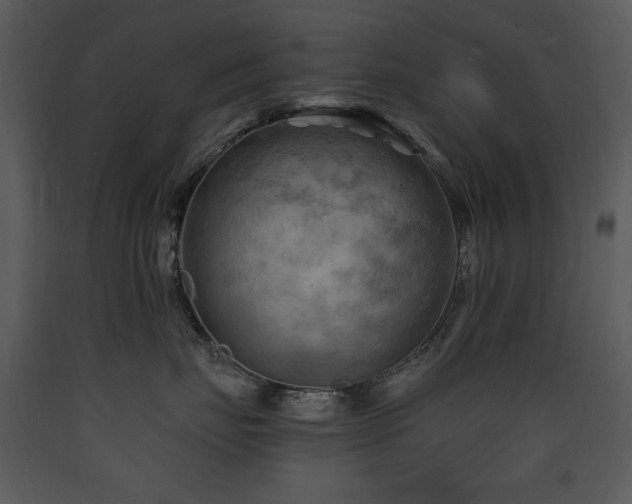 X0000090630671200707171449