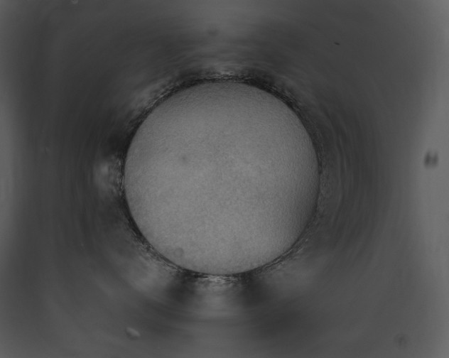 X0000090630672200707171449
