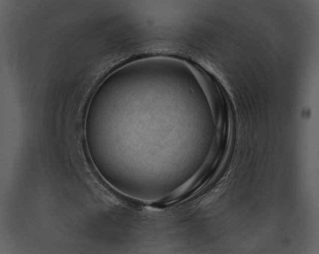 X0000090630673200707171448