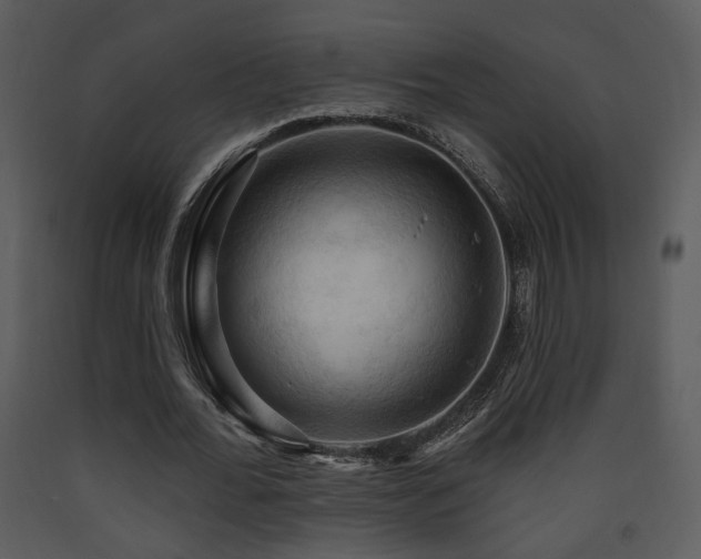 X0000090630676200707171448