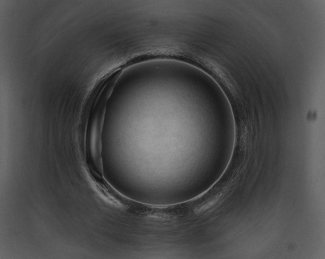 X0000090630677200707171448