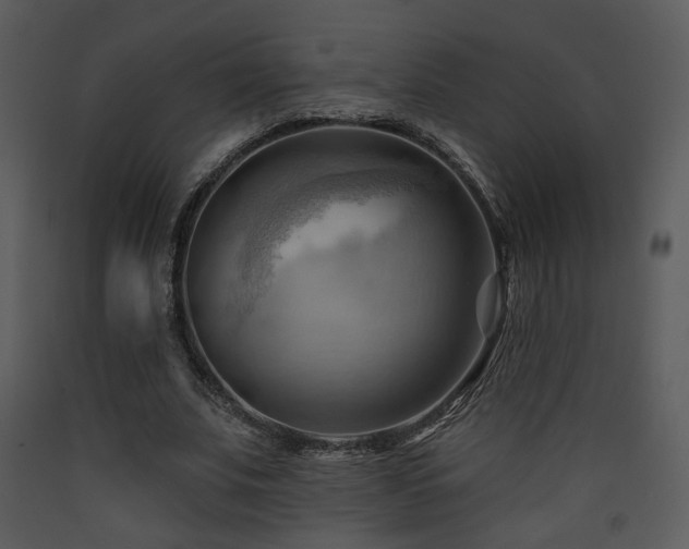 X0000090630679200707171448