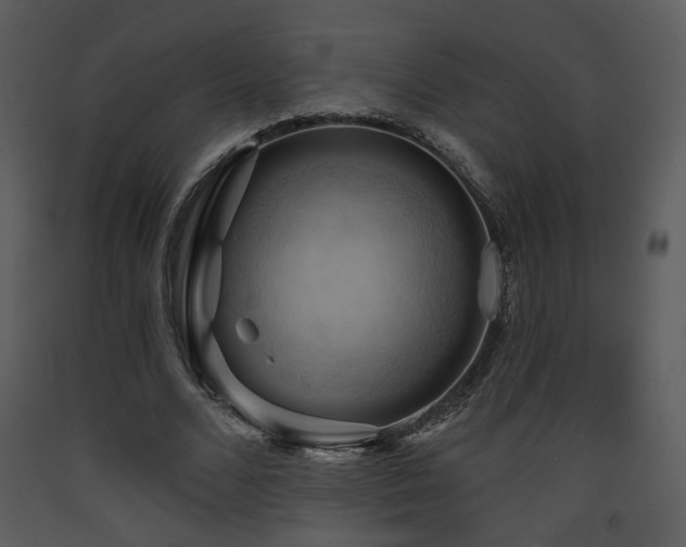 X0000090630680200707171448