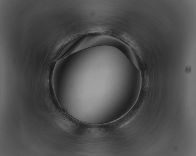 X0000090630681200707171448