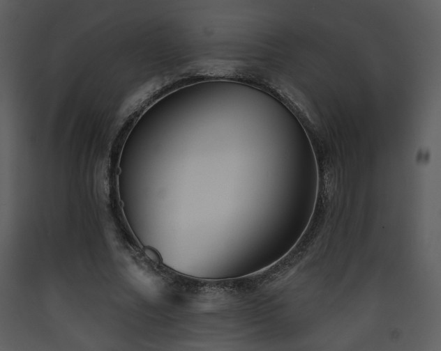 X0000090630682200707171448