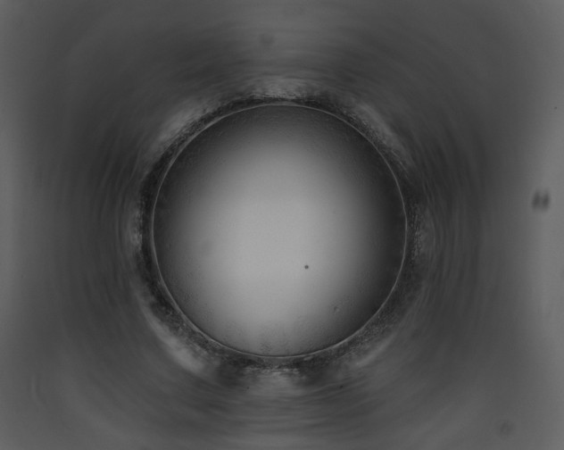 X0000090630683200707171448